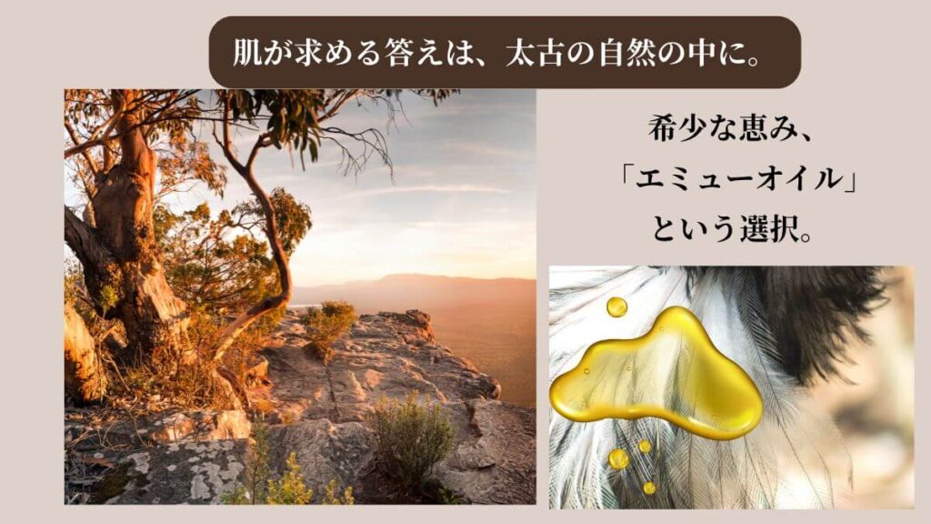 40代のオールインワンに物足りない肌への答え「エミューオイル」を象徴する画像。鳥の羽根と黄金色のオイルで、自然の恵みと希少性を表現。
