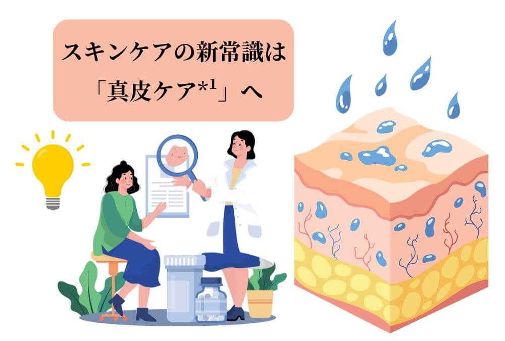 肌の断面図のグラフィック。スキンケア成分が真皮まで浸透するイメージ。