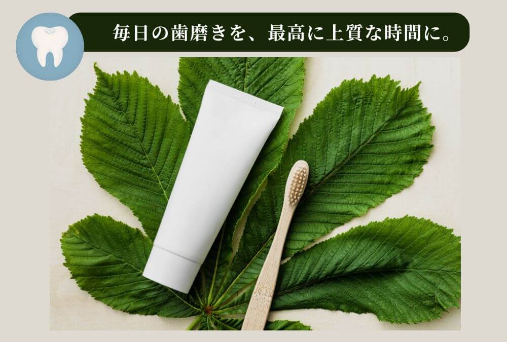 Rêve（レーヴ）歯磨き粉を使った、40代のための賢いオーラルケアの始め方